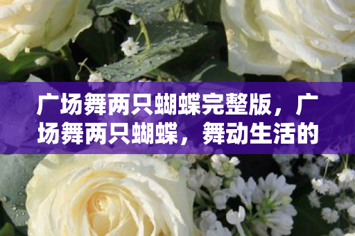 广场舞两只蝴蝶完整版，广场舞两只蝴蝶，舞动生活的美好旋律