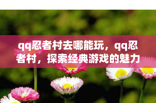 qq忍者村去哪能玩，qq忍者村，探索经典游戏的魅力与传承
