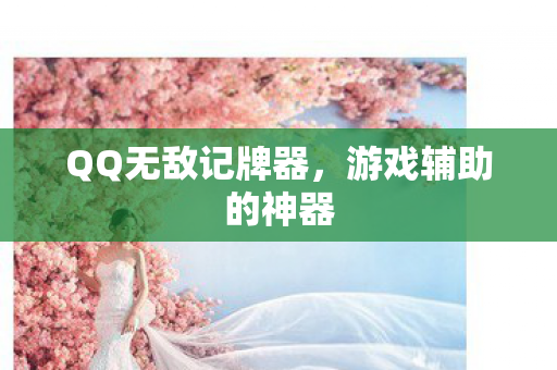 QQ无敌记牌器，游戏辅助的神器