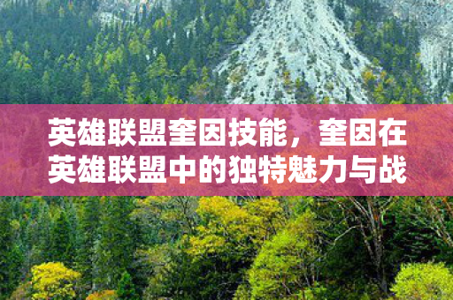 英雄联盟奎因技能，奎因在英雄联盟中的独特魅力与战术解析