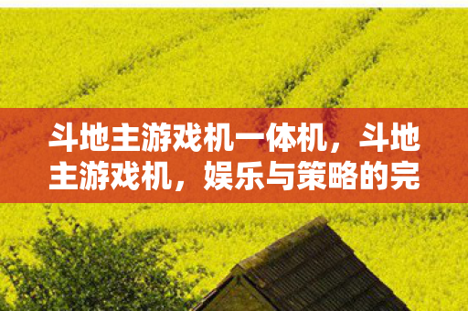斗地主游戏机一体机，斗地主游戏机，娱乐与策略的完美结合