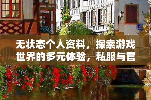 无状态个人资料，探索游戏世界的多元体验，私服与官方服务器的独特魅力