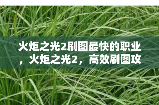 火炬之光2刷图最快的职业，火炬之光2，高效刷图攻略，助你畅游魔幻世界