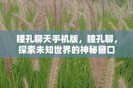 瞳孔聊天手机版，瞳孔聊，探索未知世界的神秘窗口