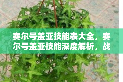 赛尔号盖亚技能表大全，赛尔号盖亚技能深度解析，战斗中的多面手