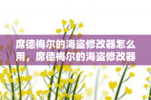 席德梅尔的海盗修改器怎么用，席德梅尔的海盗修改器，探索游戏乐趣的新边界