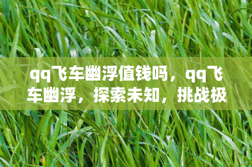qq飞车幽浮值钱吗，qq飞车幽浮，探索未知，挑战极限的飞车之旅