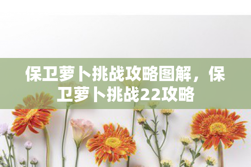 保卫萝卜挑战攻略图解，保卫萝卜挑战22攻略