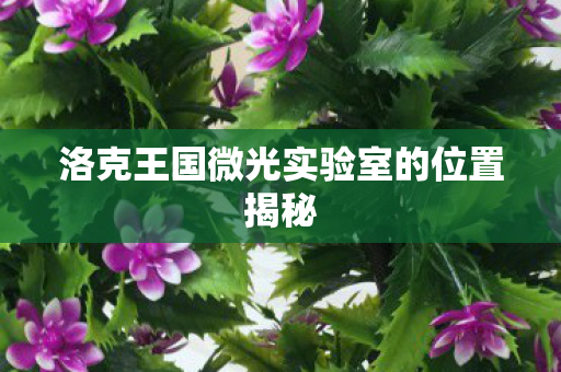 洛克王国微光实验室的位置揭秘