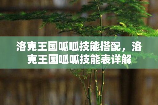 洛克王国呱呱技能搭配，洛克王国呱呱技能表详解