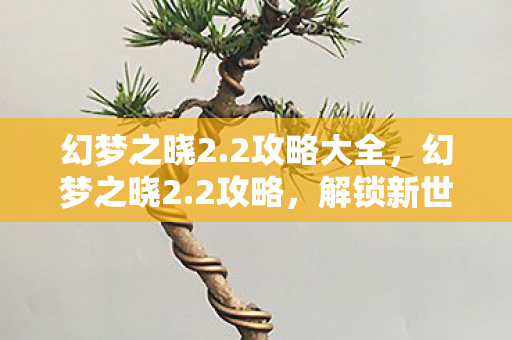 幻梦之晓2.2攻略大全，幻梦之晓2.2攻略，解锁新世界的钥匙
