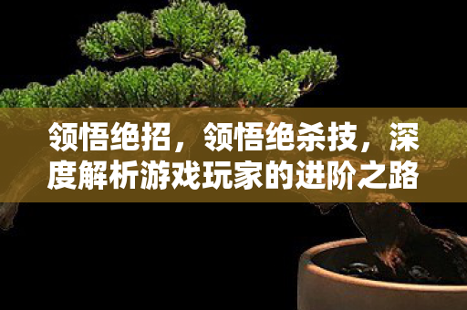 领悟绝招，领悟绝杀技，深度解析游戏玩家的进阶之路