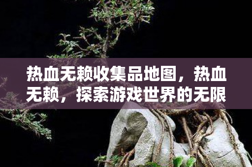 热血无赖收集品地图，热血无赖，探索游戏世界的无限可能