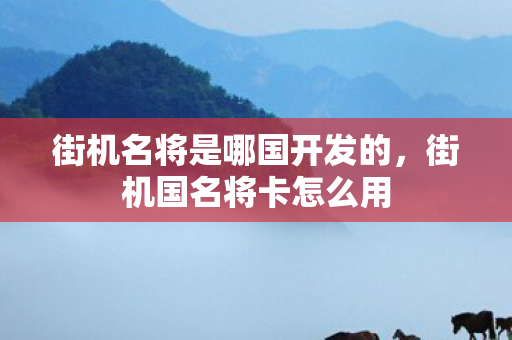 街机名将是哪国开发的，街机国名将卡怎么用