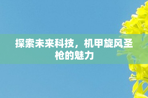 探索未来科技，机甲旋风圣枪的魅力