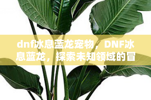 dnf冰息蓝龙宠物，DNF冰息蓝龙，探索未知领域的冒险之旅