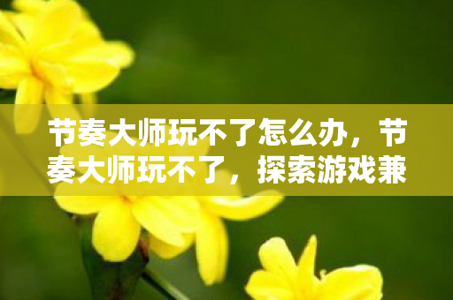 节奏大师玩不了怎么办，节奏大师玩不了，探索游戏兼容性与技术限制