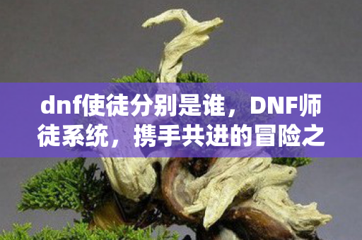 dnf使徒分别是谁，DNF师徒系统，携手共进的冒险之旅