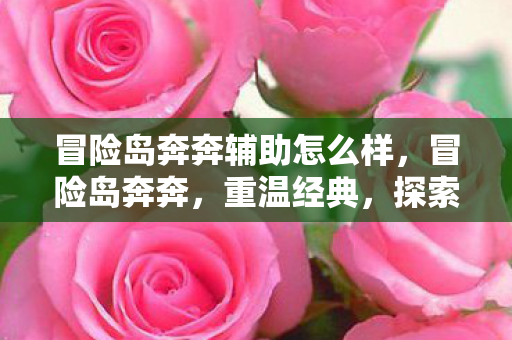 冒险岛奔奔辅助怎么样，冒险岛奔奔，重温经典，探索未知