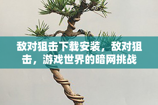 敌对狙击下载安装，敌对狙击，游戏世界的暗网挑战