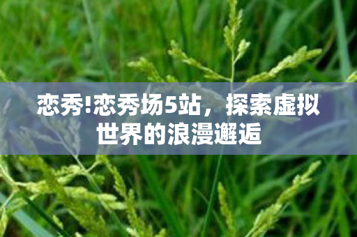 恋秀!恋秀场5站，探索虚拟世界的浪漫邂逅