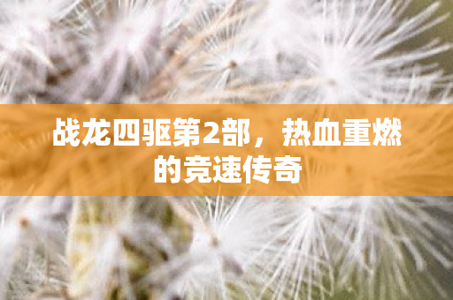 战龙四驱第2部，热血重燃的竞速传奇