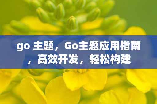 go 主题，Go主题应用指南，高效开发，轻松构建
