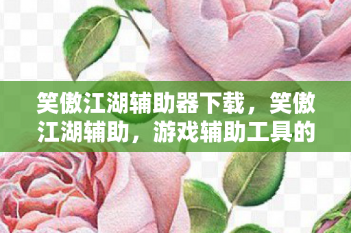 笑傲江湖辅助器下载，笑傲江湖辅助，游戏辅助工具的正确使用与注意事项