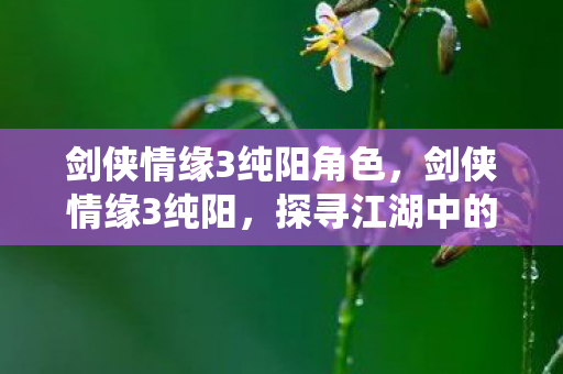 剑侠情缘3纯阳角色,剑侠情缘3纯阳,探寻江湖中的仙风道骨 剑侠情缘3纯阳角色,剑侠情缘3纯阳,探寻江湖中的仙风道骨