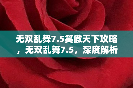 无双乱舞7.5笑傲天下攻略，无双乱舞7.5，深度解析游戏背后的创新与挑战