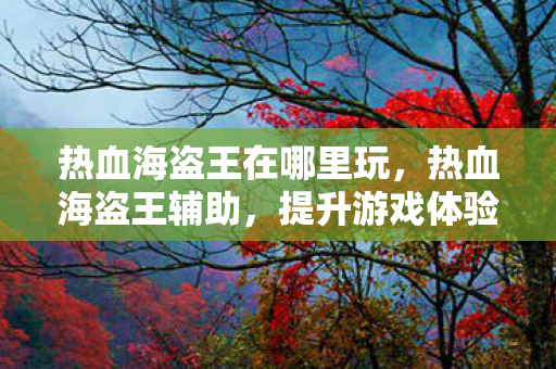 热血海盗王在哪里玩，热血海盗王辅助，提升游戏体验的得力助手