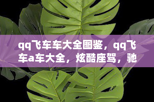 qq飞车车大全图鉴，qq飞车a车大全，炫酷座驾，驰骋赛道