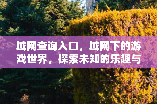 域网查询入口，域网下的游戏世界，探索未知的乐趣与挑战