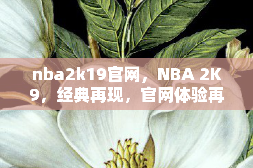 nba2k19官网，NBA 2K9，经典再现，官网体验再升级