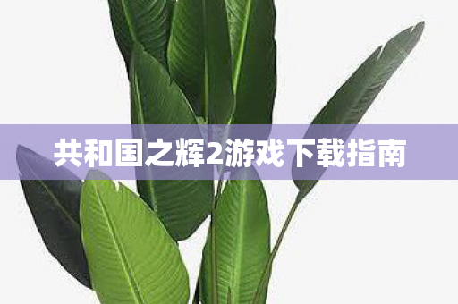 共和国之辉2游戏下载指南 共和国之辉2游戏下载指南