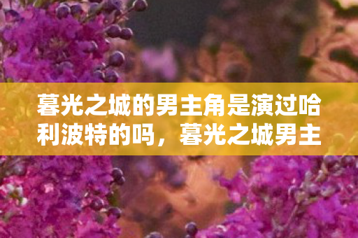 暮光之城的男主角是演过哈利波特的吗,暮光之城男主角,爱德华的魅力与传奇 暮光之城的男主角是演过哈利波特的吗,暮光之城男主角,爱德华的魅力与传奇