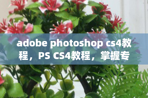 adobe photoshop cs4教程，PS CS4教程，掌握专业图像处理技巧