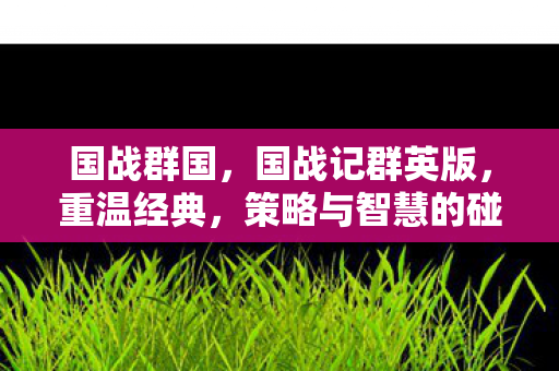 国战群国,国战记群英版,重温经典,策略与智慧的碰撞 国战群国,国战记群英版,重温经典,策略与智慧的碰撞