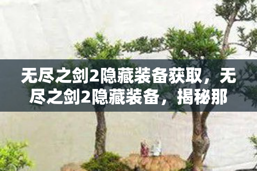 无尽之剑2隐藏装备获取,无尽之剑2隐藏装备,揭秘那些鲜为人知的神秘装备 无尽之剑2隐藏装备获取,无尽之剑2隐藏装备,揭秘那些鲜为人知的神秘装备