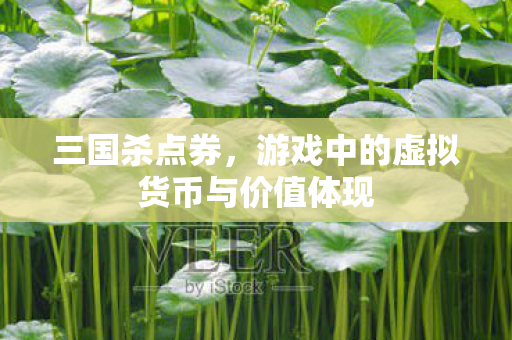 三国杀点券,游戏中的虚拟货币与价值体现 三国杀点券,游戏中的虚拟货币与价值体现