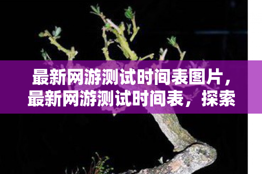 最新网游测试时间表图片，最新网游测试时间表，探索未来游戏世界的窗口