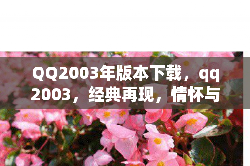 QQ2003年版本下载，qq2003，经典再现，情怀与创新的交响曲