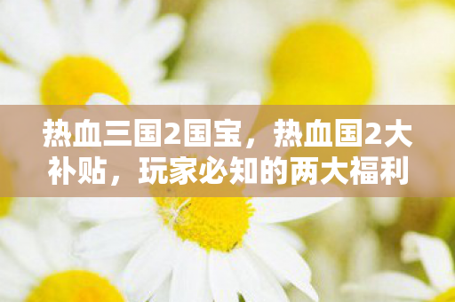 热血三国2国宝,热血国2大补贴,玩家必知的两大福利政策 热血三国2国宝,热血国2大补贴,玩家必知的两大福利政策