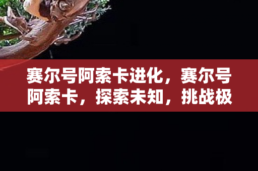 赛尔号阿索卡进化,赛尔号阿索卡,探索未知,挑战极限 赛尔号阿索卡进化,赛尔号阿索卡,探索未知,挑战极限