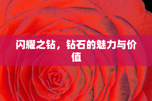 闪耀之钻，钻石的魅力与价值