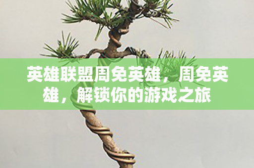 英雄联盟周免英雄,周免英雄,解锁你的游戏之旅 英雄联盟周免英雄,周免英雄,解锁你的游戏之旅