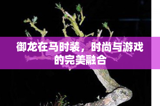 御龙在马时装,时尚与游戏的完美融合 御龙在马时装,时尚与游戏的完美融合