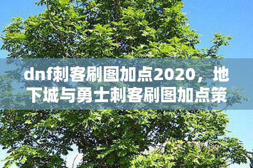 dnf刺客刷图加点2020，地下城与勇士刺客刷图加点策略