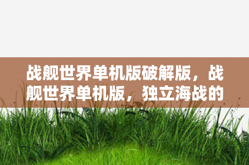战舰世界单机版破解版,战舰世界单机版,独立海战的魅力 战舰世界单机版破解版,战舰世界单机版,独立海战的魅力