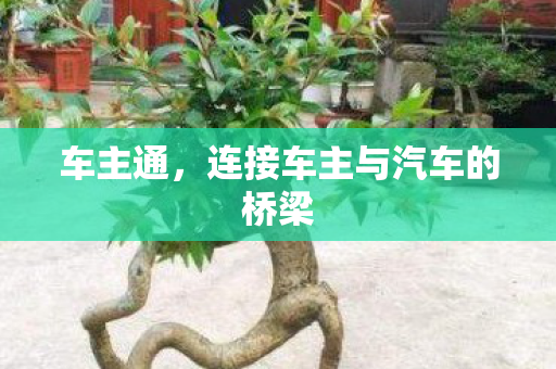 车主通,连接车主与汽车的桥梁 车主通,连接车主与汽车的桥梁
